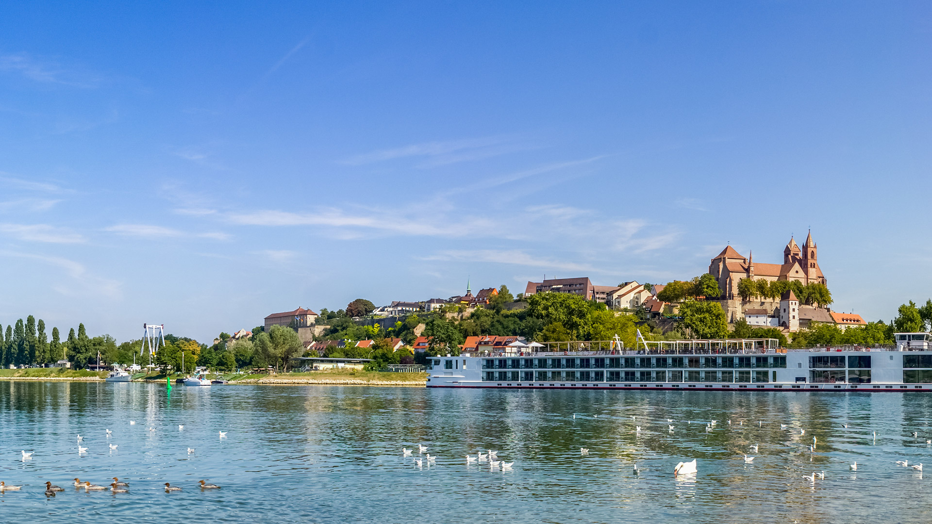Hintergrund Breisach