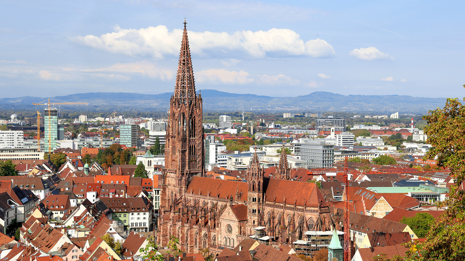 Hintergrund Freiburg Münster